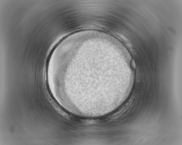 X0000111360796200908211256