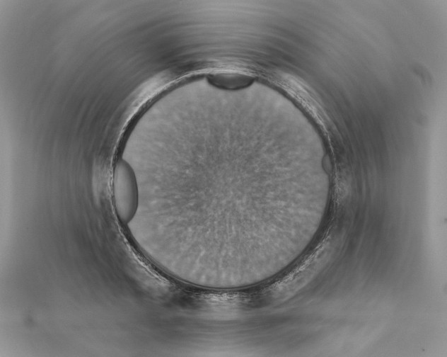 X0000111360797200908211256