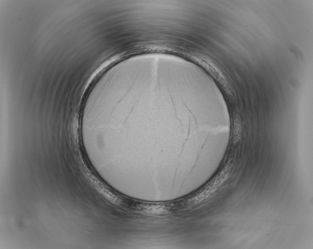 X0000111360798200908211256