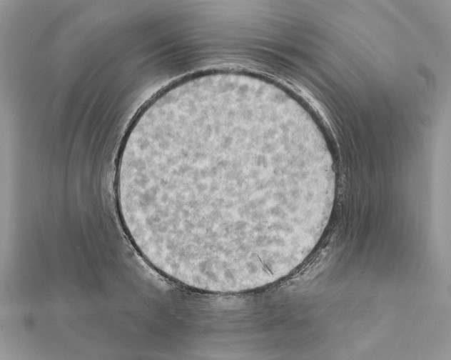X0000111360799200908211256