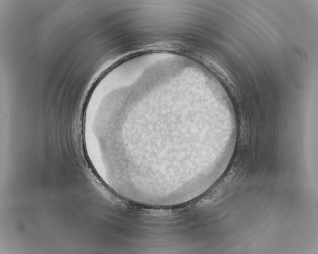 X0000111360800200908211256