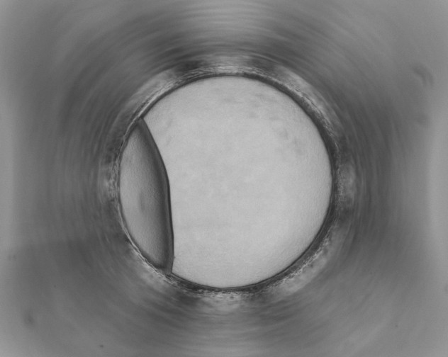 X0000111360801200908211256
