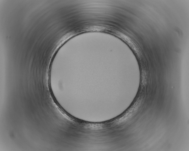 X0000111360802200908211256