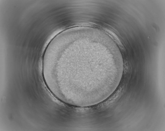 X0000111360804200908211256