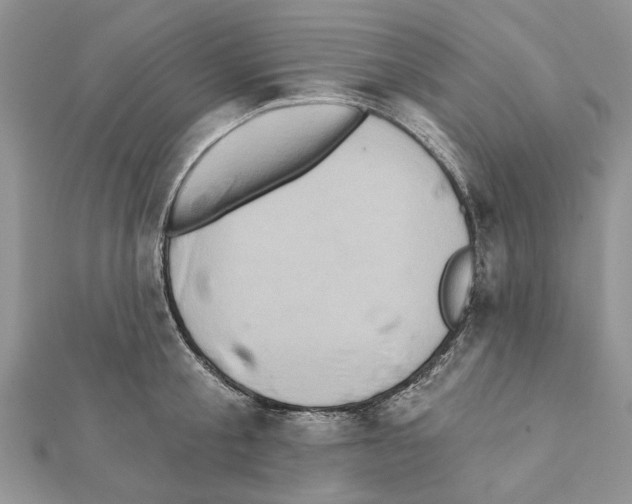X0000111360805200908211256