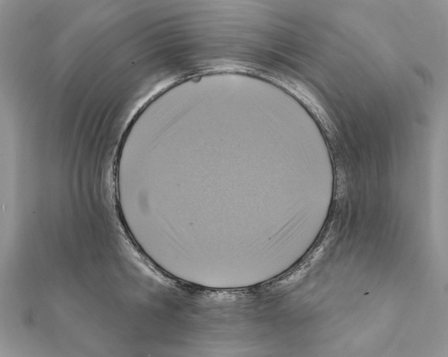 X0000111360806200908211256