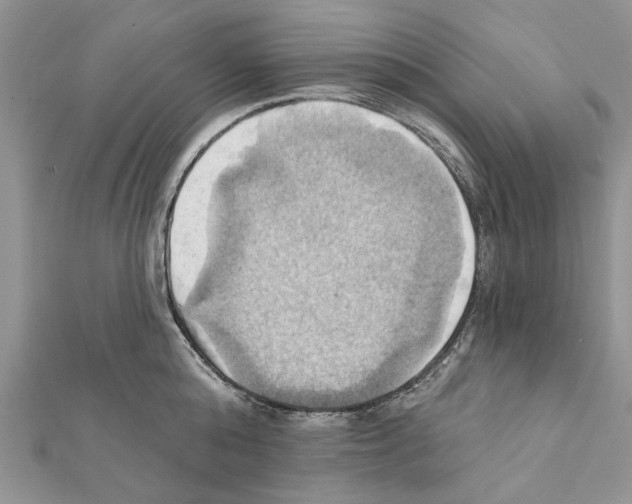X0000111360808200908211256