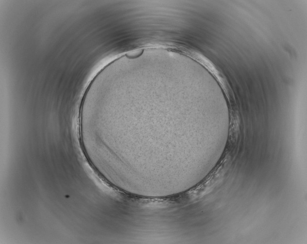 X0000111360811200908211256