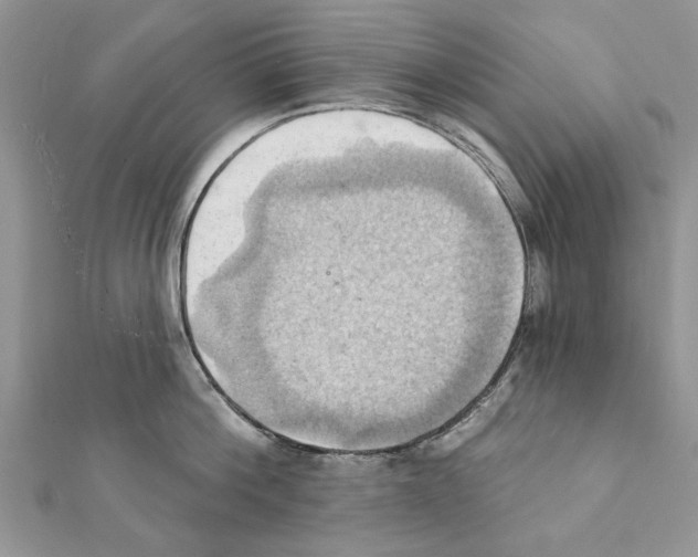 X0000111360812200908211256