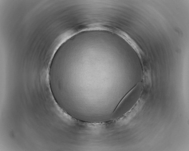 X0000111360813200908211256