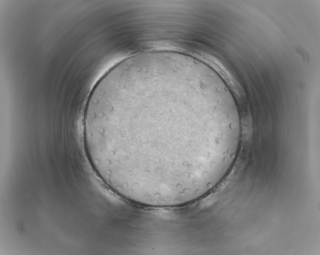 X0000111360814200908211256
