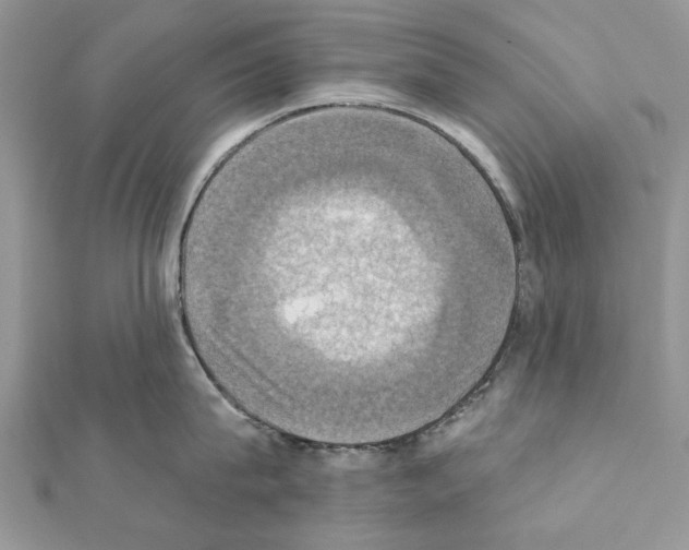 X0000111360815200908211255
