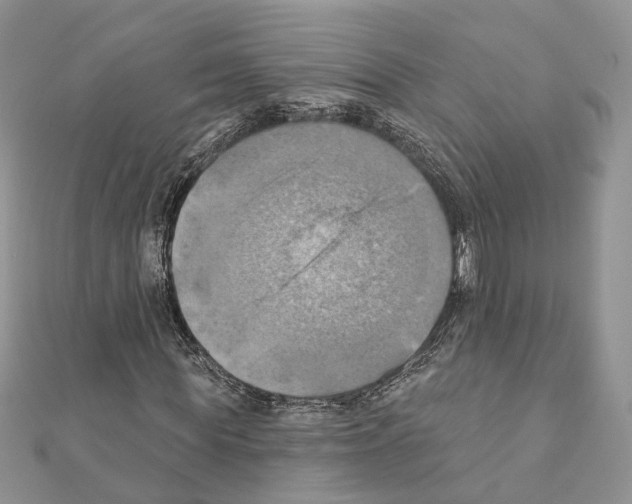 X0000111360819200908211255