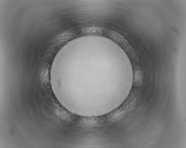 X0000111360820200908211255