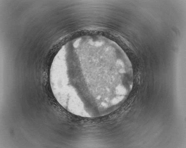 X0000111360821200908211255