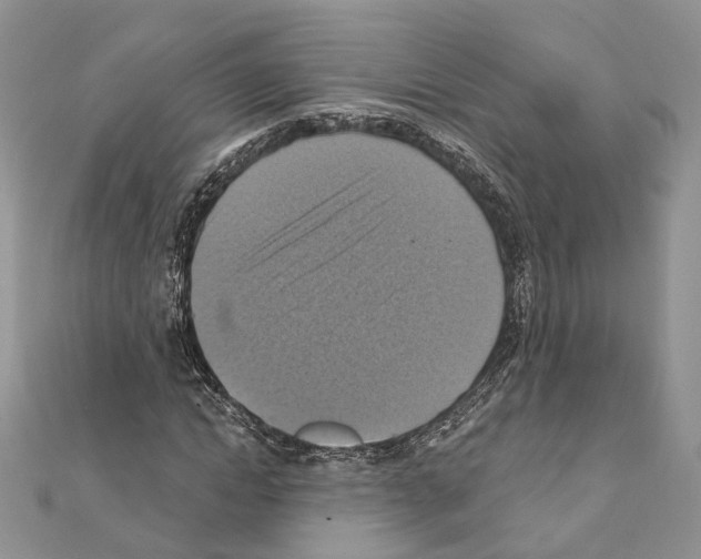 X0000111360822200908211255