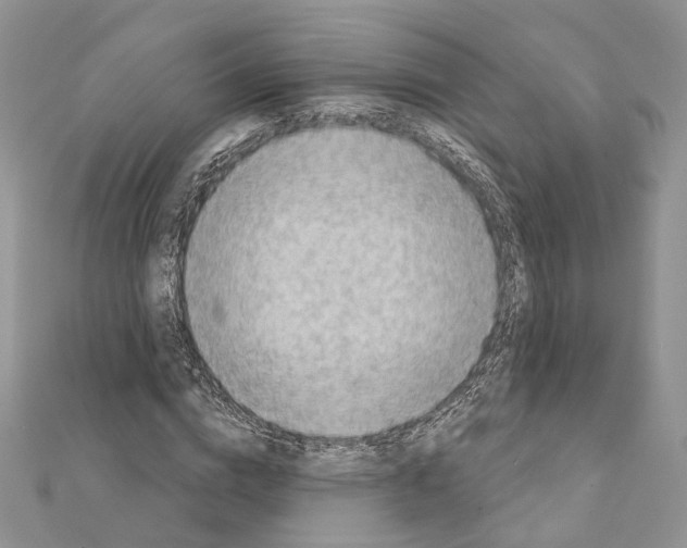 X0000111360824200908211255