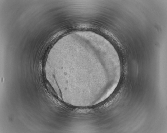 X0000111360825200908211255