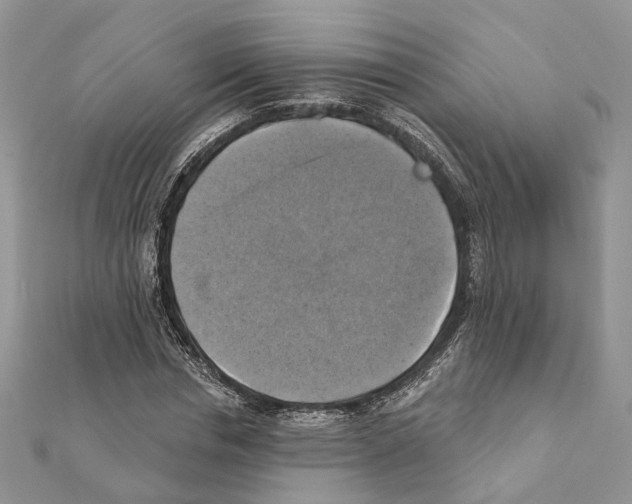 X0000111360826200908211255