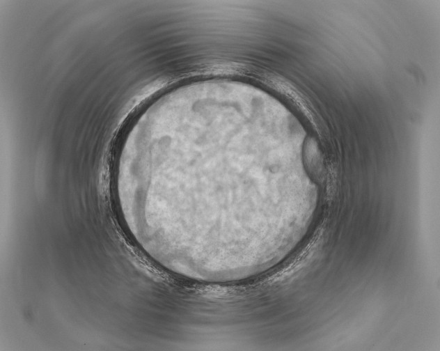 X0000111360827200908211255