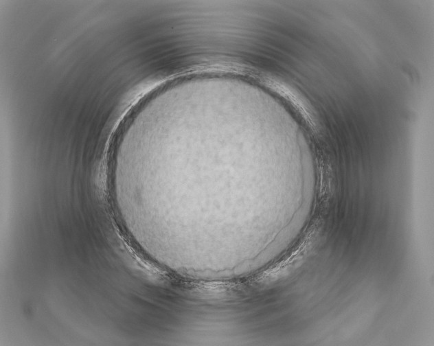 X0000111360828200908211255