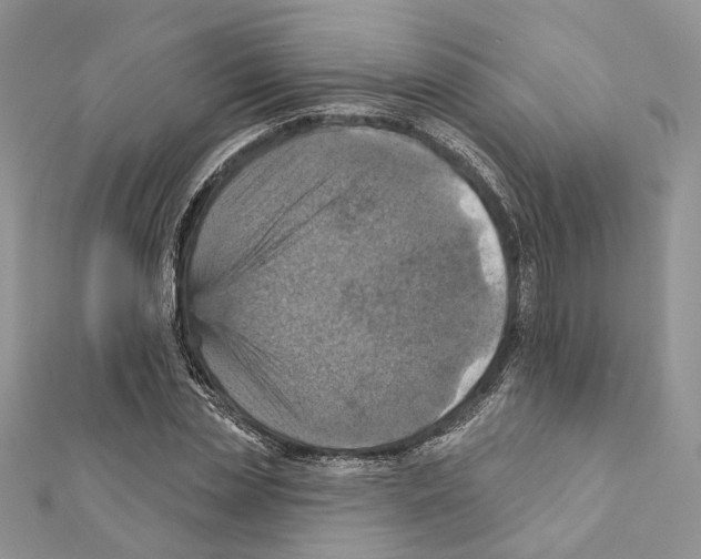 X0000111360829200908211255