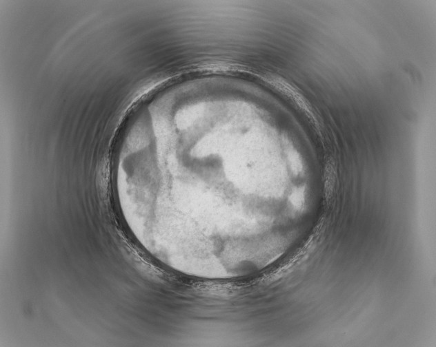 X0000111360831200908211255