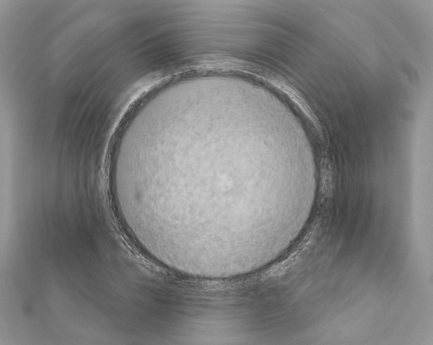 X0000111360832200908211255