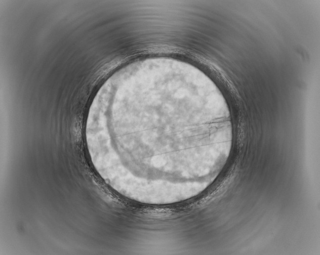 X0000111360833200908211255