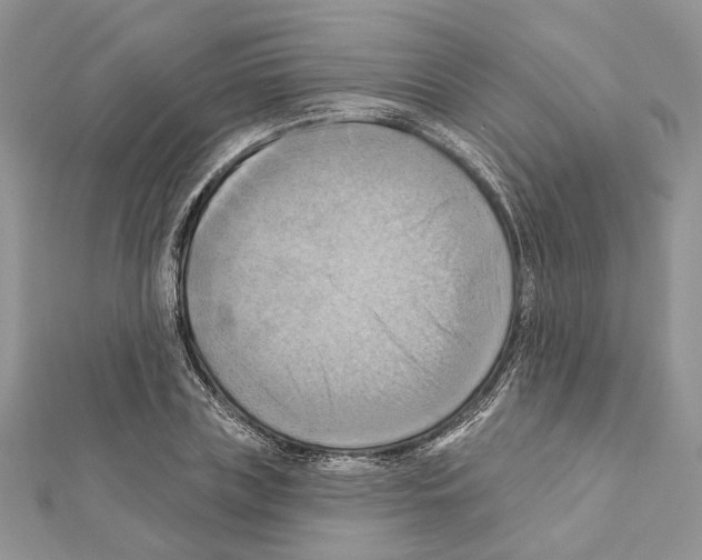 X0000111360835200908211255
