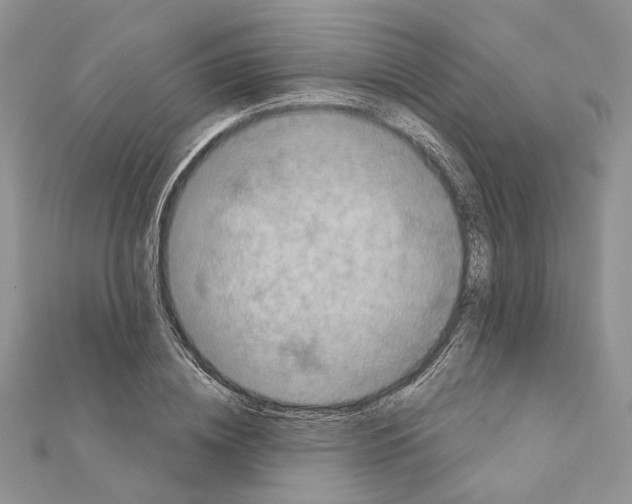 X0000111360836200908211255