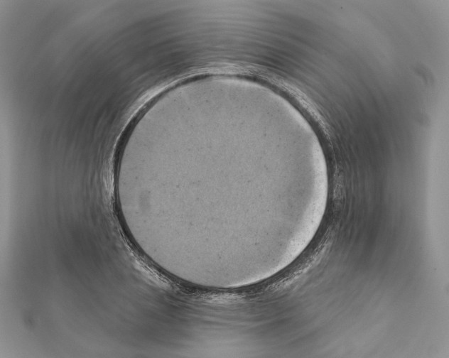X0000111360837200908211255