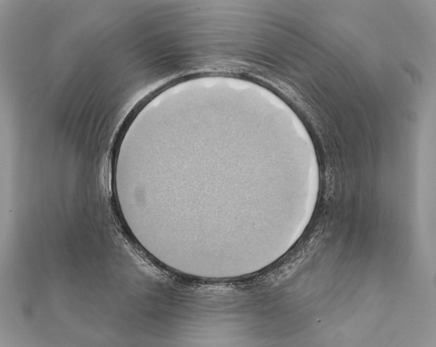 X0000111360838200908211255