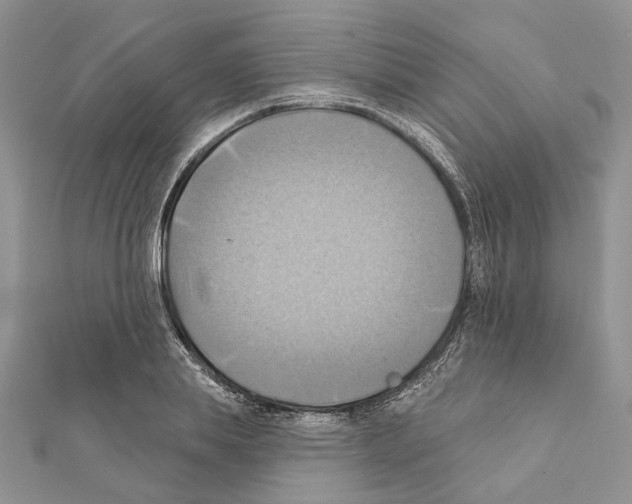 X0000111360839200908211255