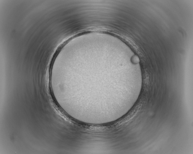 X0000111360840200908211255