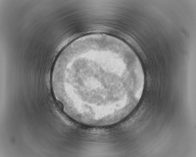 X0000111360842200908211255