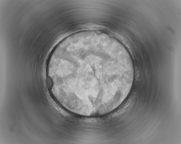 X0000111360843200908211255