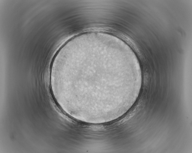 X0000111360844200908211255
