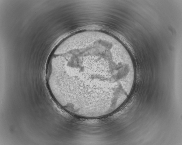 X0000111360845200908211255