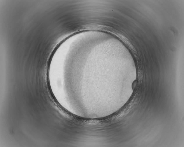 X0000111360846200908211255
