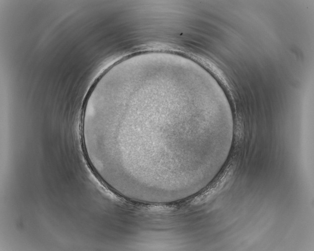 X0000111360847200908211255