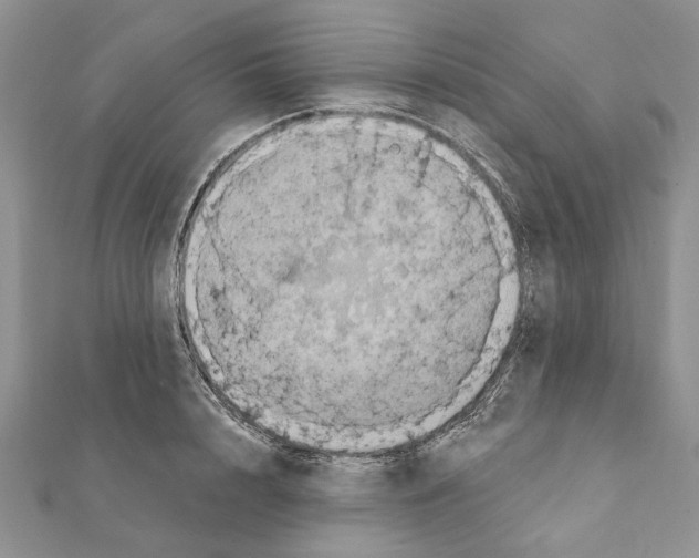 X0000111360848200908211255