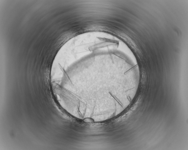 X0000111360849200908211255