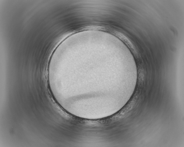 X0000111360852200908211255