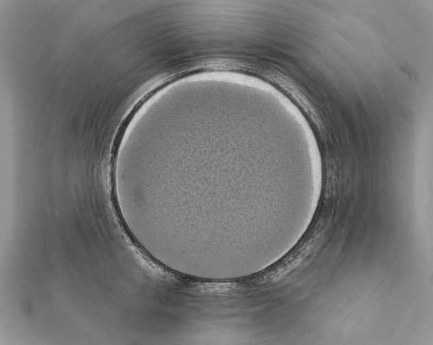 X0000111360853200908211255