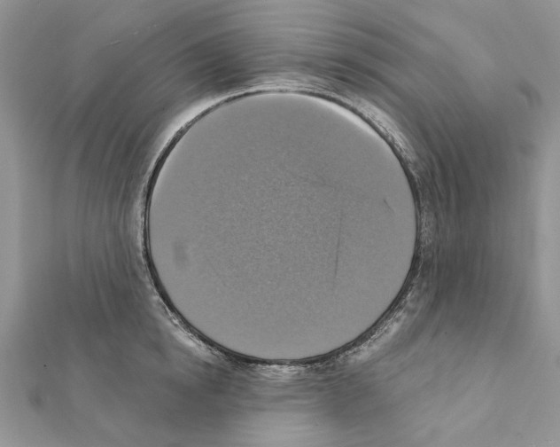 X0000111360854200908211255