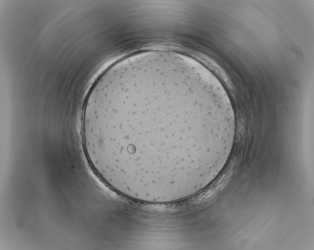 X0000111360855200908211255