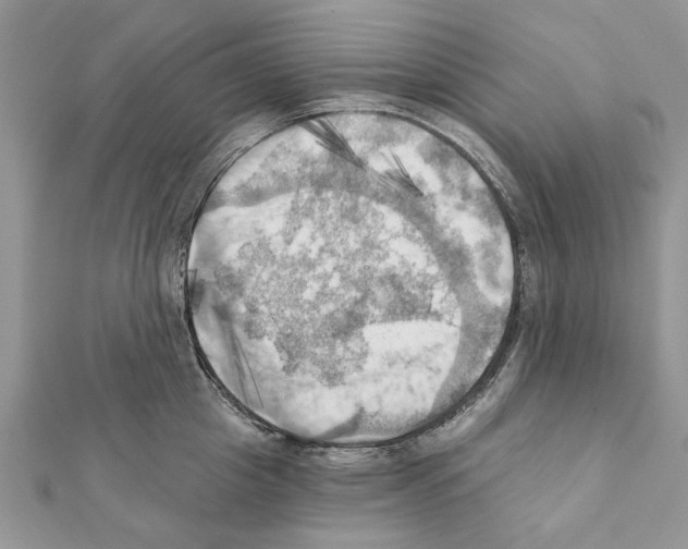 X0000111360857200908211255