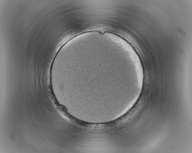 X0000111360858200908211255