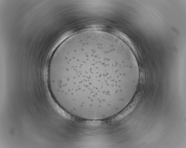 X0000111360859200908211255